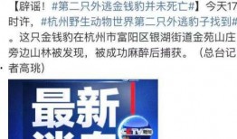 磁县爆料热点事件最新