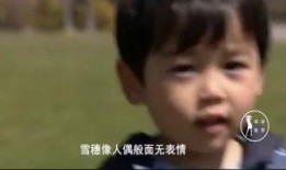 白夜行在线观看完整