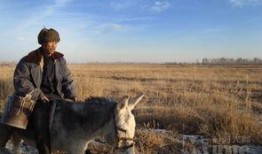 沈猛爆料老驴视频,老驴视频背后的惊人真相