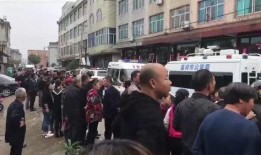 新河中学爆料案件最新,真相大白，校园安全再引关注！”