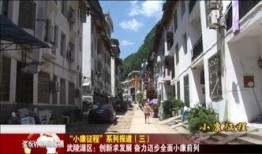 张家界新闻视频爆料,揭秘神秘景点背后的故事