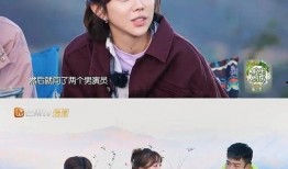 汪涵爆料换姜妍视频,揭秘背后真相