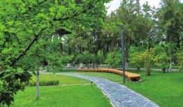 兰州植物园爆料案件最新,真相渐浮水面，疑云终将揭晓