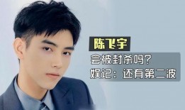 记者爆料陈飞宇视频,记者爆料背后的真相