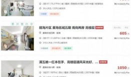 深圳湾小新爆料视频,揭秘视频背后的精彩瞬间