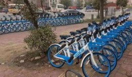 单车爆料视频网站大全集,揭秘骑行圈热门平台一览