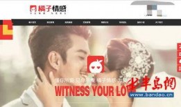 情感新闻爆料网站,情感故事背后的真实与虚构