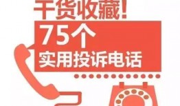 永新新闻爆料热线投诉,投诉事件聚焦与追踪