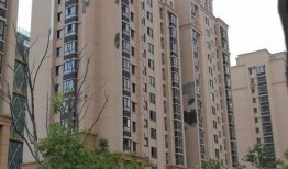 重庆安置房爆料事件最新,揭露背后真相与争议