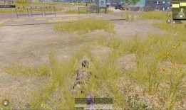 提前爆料新军需最新,前沿爆料，全新装备亮相在即