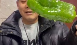 博乐吃瓜网红事件视频,揭秘网络舆论背后的真相