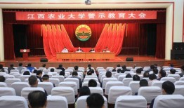 江西农大爆料视频,揭秘校园生活背后的真实故事