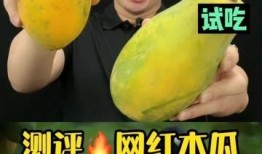 网红瓜这样吃,解锁美味新境界