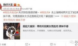 谢霆锋爆料卓伟视频大全,揭秘娱乐圈背后的秘密