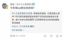 最新皮肤爆料消息,神秘英雄华丽蜕变，独家爆料带你领略视觉盛宴