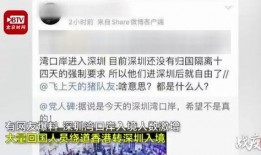 深圳湾小新爆料视频,揭秘视频背后的精彩瞬间