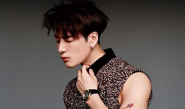 王嘉尔娱乐爆料,揭秘明星幕后故事