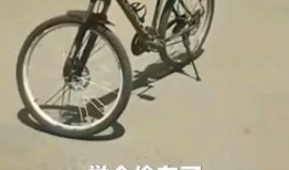 安阳自行车爆料事件最新,真相与反思
