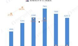 万达最新数据爆料,业绩增长背后的秘密与挑战