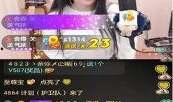 大嘴爆料二嫂视频大全,揭秘二嫂视频大全背后的惊人真相