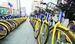 安阳自行车爆料事件最新,真相与反思