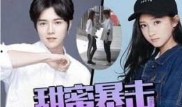 鹿晗摩天轮爆料视频,揭秘浪漫时刻背后的故事