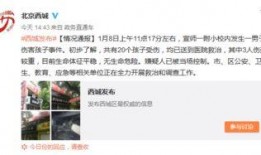 北京小孩爆料事件视频,揭秘校园霸凌背后的真相