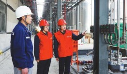 葫芦岛化工最新爆料,揭秘重大环保违规事件真相