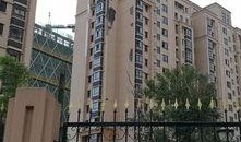 重庆安置房爆料事件最新,揭露背后真相与争议