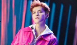 鹿晗摩天轮爆料视频,揭秘浪漫时刻背后的故事