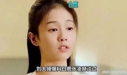 刘大锤爆料娱乐圈小说,娱乐圈幕后风云录