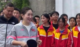 刘诗雯爆料最新动态,揭秘赛场背后的故事与心路历程