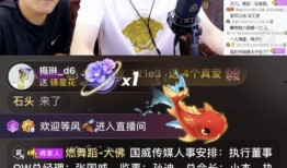 利哥爆料资产是真的吗视频,视频揭露资产之谜