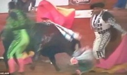 斗牛士在线观看,激情四溢的竞技盛宴