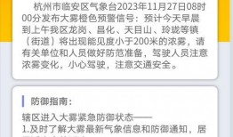 临安新闻爆料平台电话,助力市民及时掌握最新资讯
