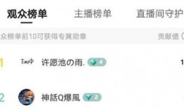 爆料网红提子视频大全集,揭秘网络红人的魅力瞬间