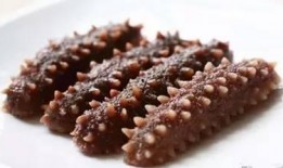 海参爆料原神视频大全下载,原神视频大全下载攻略全解析