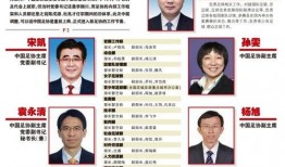 媒体爆料九人男团视频,精彩瞬间引粉丝热议