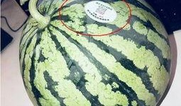 网红瓜这样吃,解锁美味新境界