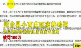 河北邢台爆料案件最新,案情最新进展及社会影响深度解析”