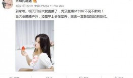 爆料木子事件视频播放,真相与争议交织