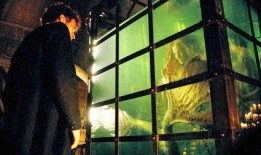 船员爆料捕到美人鱼视频,船员亲历捕捞奇观