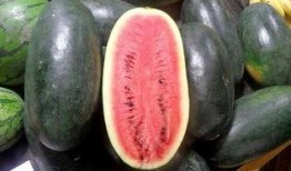 今日吃瓜网红黑料911反,揭秘背后真相