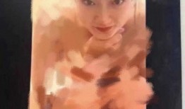 张隆前妻爆料原图视频在线观看,揭秘背后惊人真相