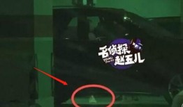 狗仔爆料离谱视频,离谱视频揭秘娱乐圈惊人内幕