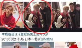 业内人士爆料鹿晗视频大全,揭秘明星幕后生活瞬间