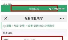 微信吃瓜网站免费,微信吃瓜网站免费生成，揭秘娱乐圈幕后真相！