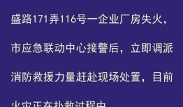 极目新闻爆料多少钱一个,揭秘“多少钱一个”背后的惊人真相！