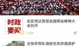 浦北新闻爆料视频播放,聚焦热点事件，揭示社会现象