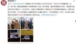 河北邢台爆料案件最新,案情最新进展及社会影响深度解析”